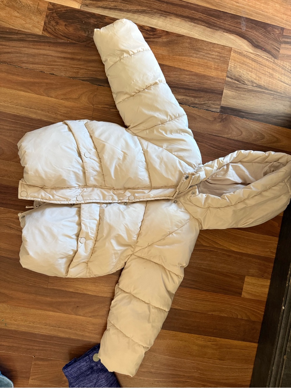 5T zara jacket